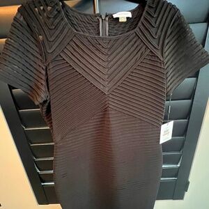 Women’s Fitted Black Dress